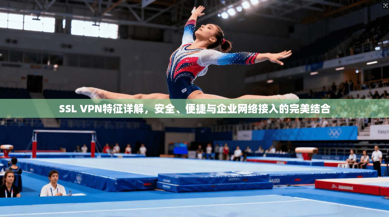 SSL VPN特征详解，安全、便捷与企业网络接入的完美结合  第1张