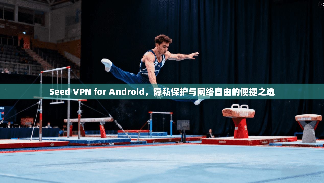 Seed VPN for Android，隐私保护与网络自由的便捷之选  第1张