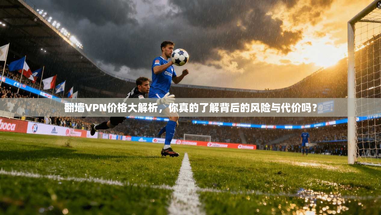 翻墙VPN价格大解析，你真的了解背后的风险与代价吗？  第1张