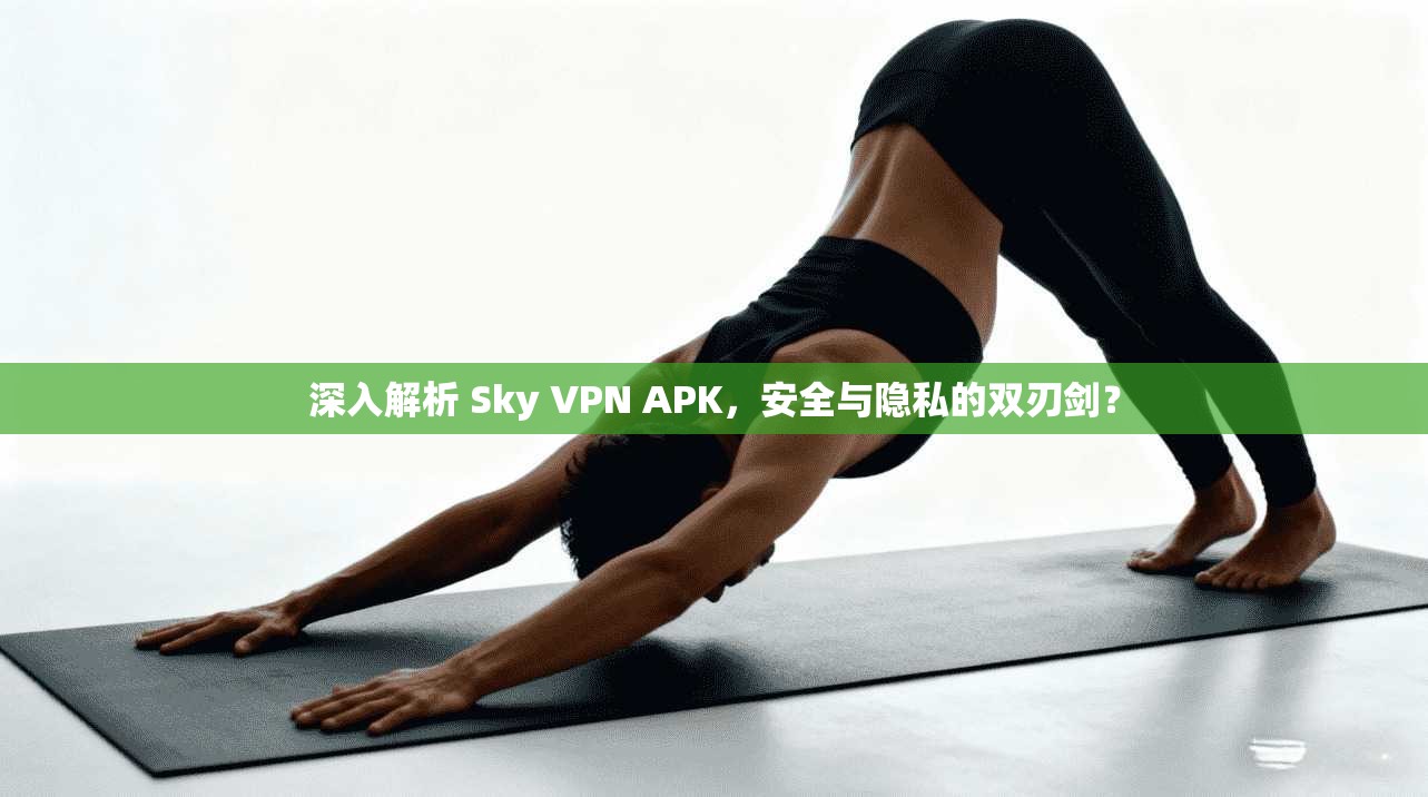 深入解析 Sky VPN APK,安全与隐私的双刃剑? 第1张 深入解析 Sky VPN APK,安全与隐私的双刃剑? 第1张
