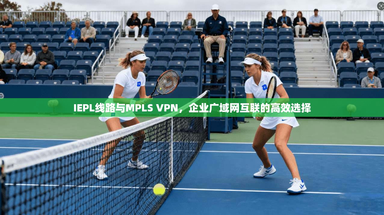 IEPL线路与MPLS VPN，企业广域网互联的高效选择  第1张