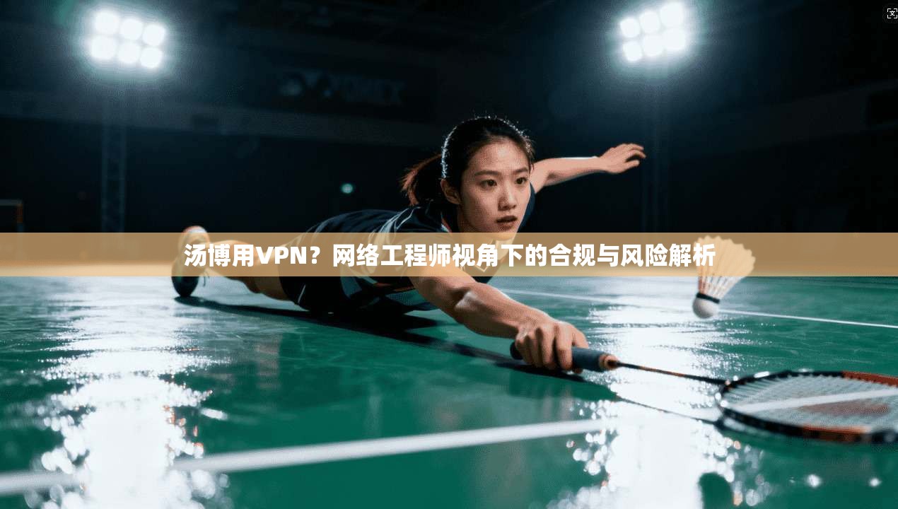 汤博用VPN？网络工程师视角下的合规与风险解析  第1张