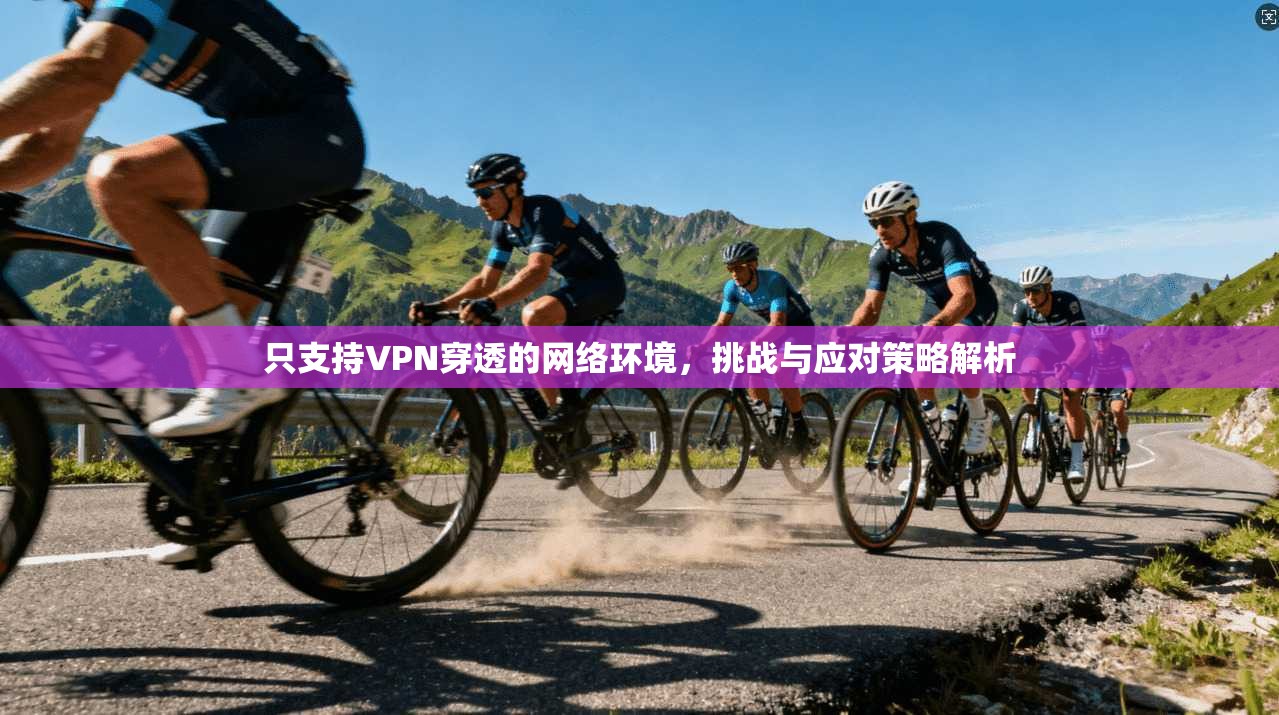 只支持VPN穿透的网络环境，挑战与应对策略解析  第1张