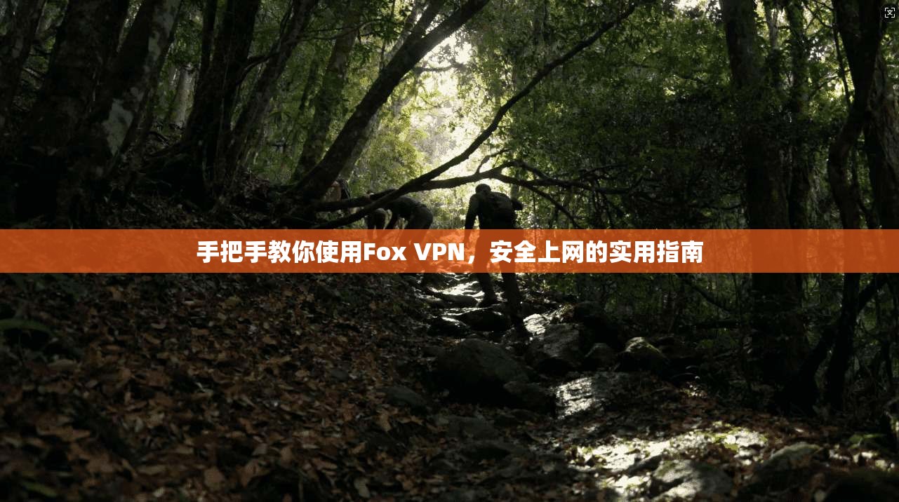 手把手教你使用Fox VPN，安全上网的实用指南  第1张