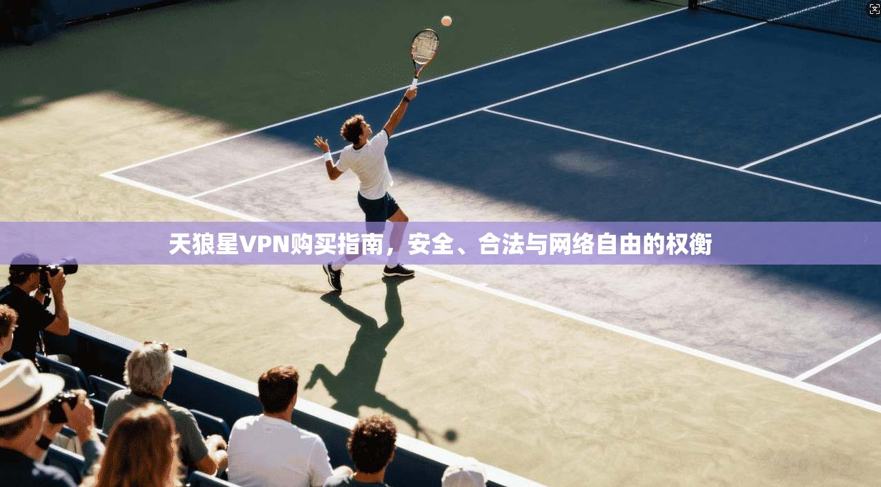 天狼星VPN购买指南,安全、合法与网络自由的权衡 第1张 天狼星VPN购买指南,安全、合法与网络自由的权衡 第1张