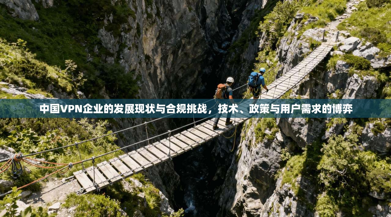中国VPN企业的发展现状与合规挑战，技术、政策与用户需求的博弈  第1张