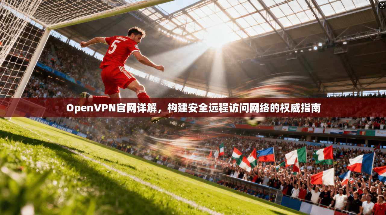 OpenVPN官网详解，构建安全远程访问网络的权威指南  第1张