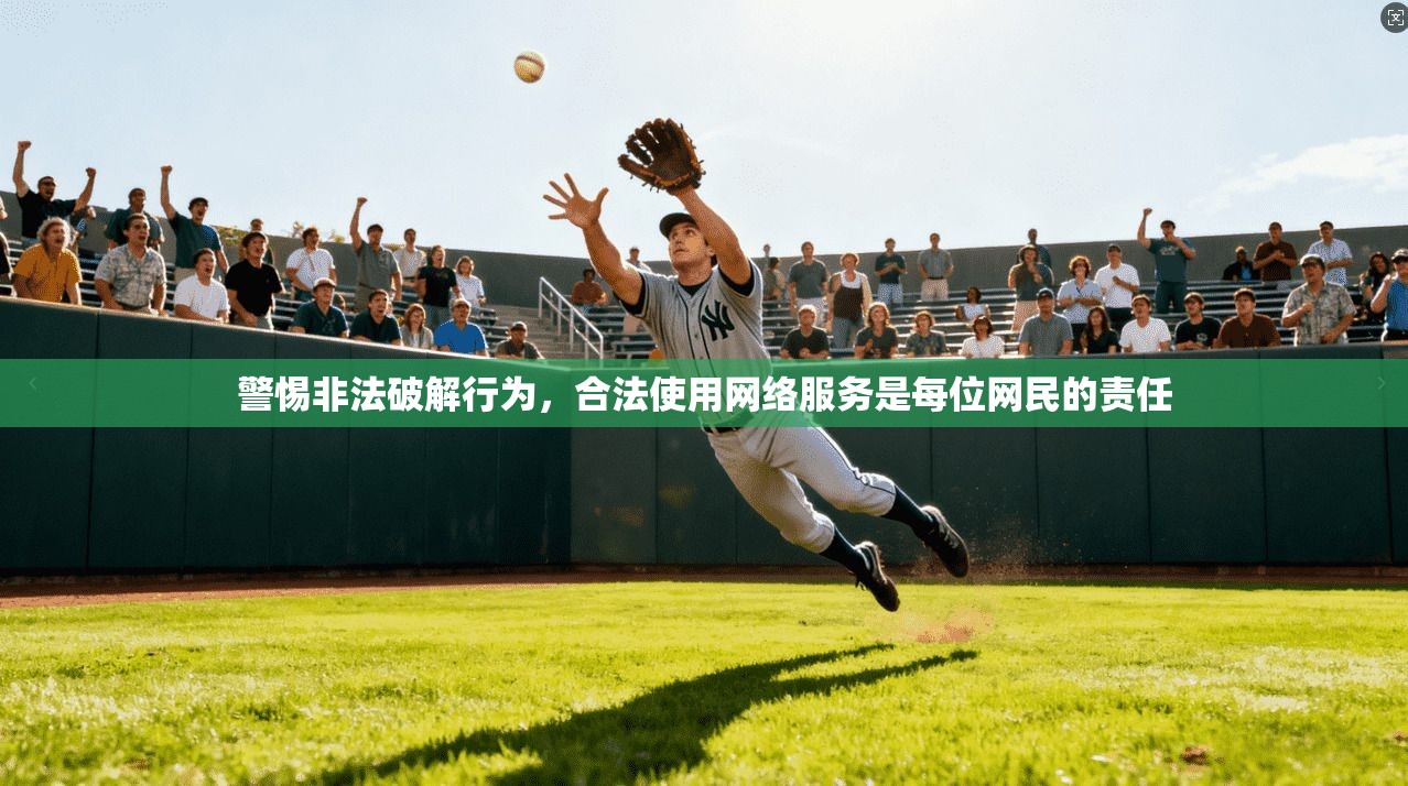 警惕非法破解行为，合法使用网络服务是每位网民的责任  第1张