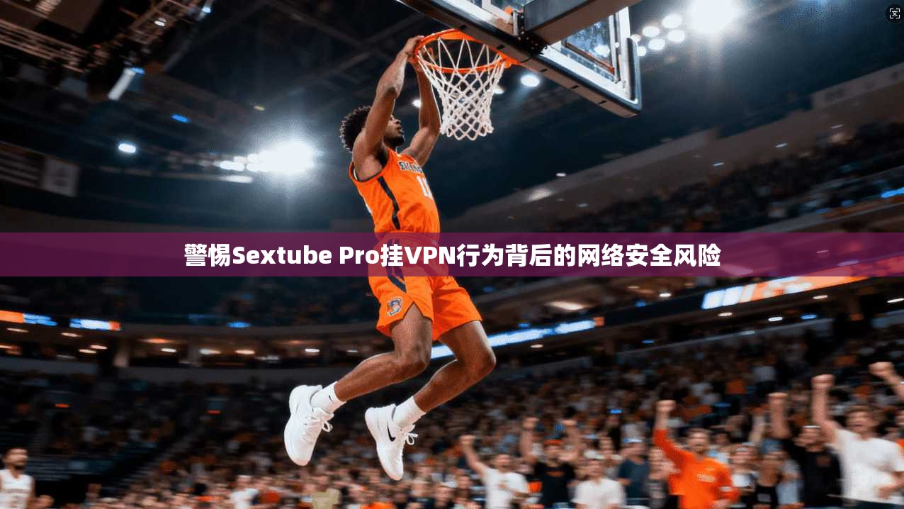 警惕Sextube Pro挂VPN行为背后的网络安全风险 第1张 警惕Sextube Pro挂VPN行为背后的网络安全风险 第1张