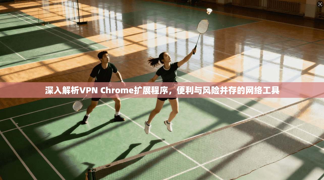 深入解析VPN Chrome扩展程序,便利与风险并存的网络工具 第1张 深入解析VPN Chrome扩展程序,便利与风险并存的网络工具 第1张