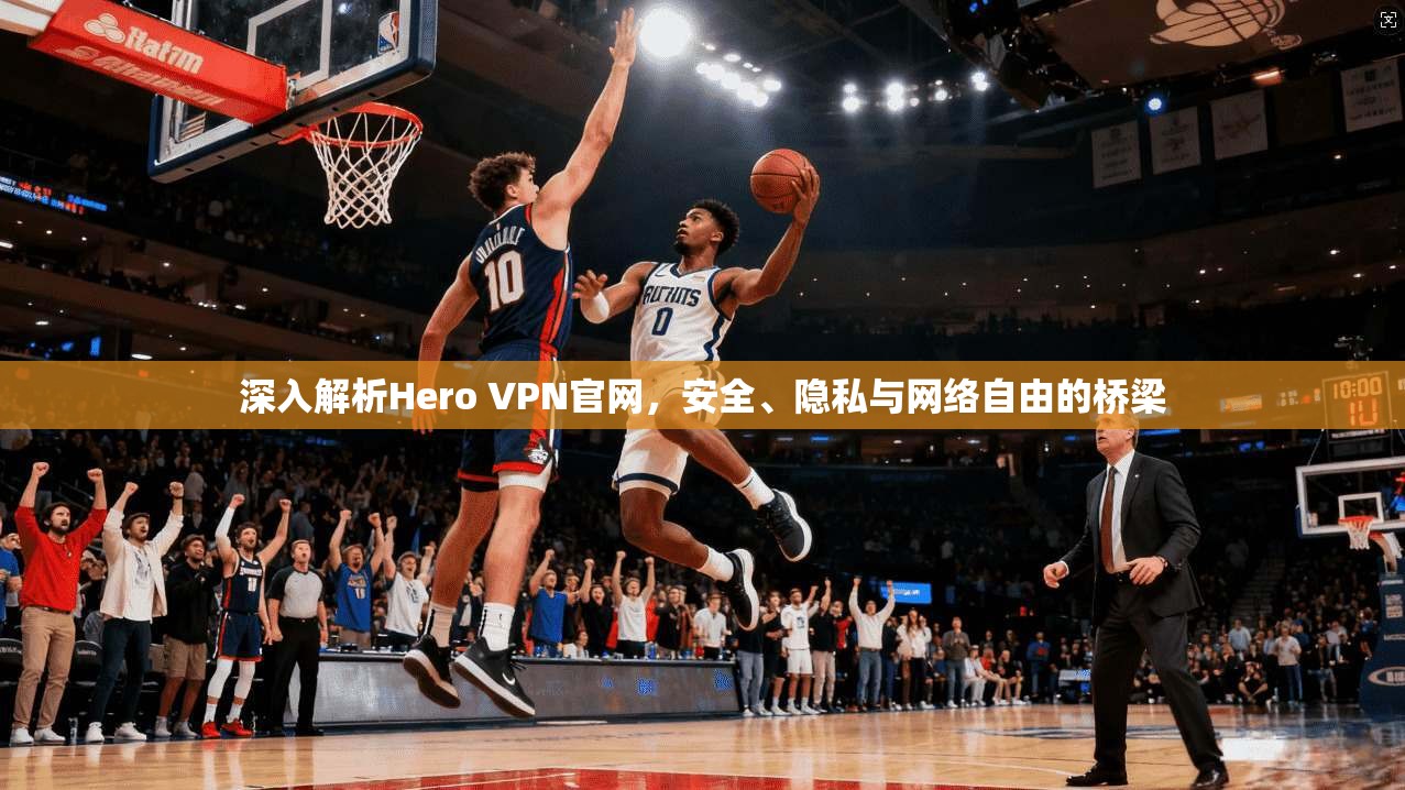 深入解析Hero VPN官网，安全、隐私与网络自由的桥梁  第1张