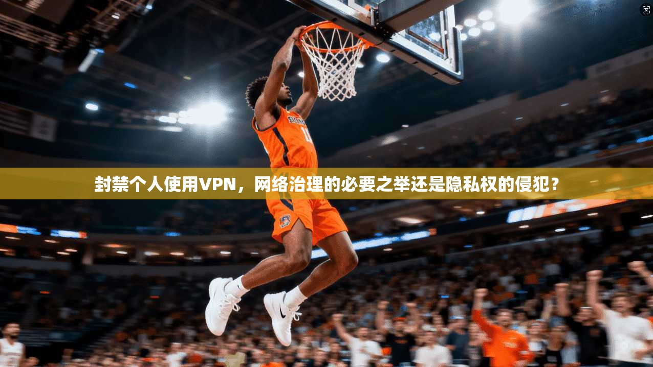 封禁个人使用VPN，网络治理的必要之举还是隐私权的侵犯？  第1张
