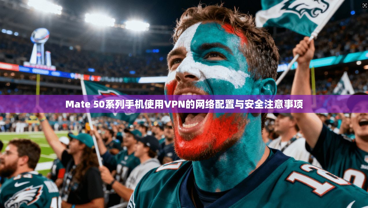 Mate 50系列手机使用VPN的网络配置与安全注意事项  第1张