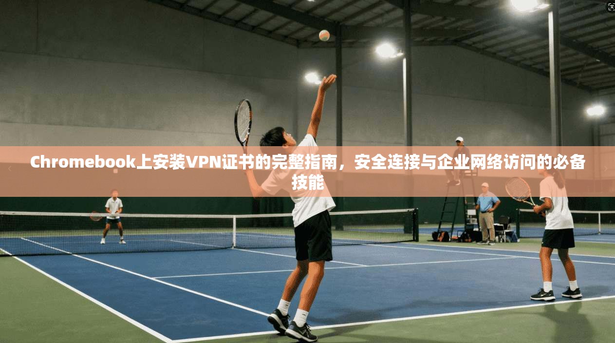 Chromebook上安装VPN证书的完整指南，安全连接与企业网络访问的必备技能  第1张