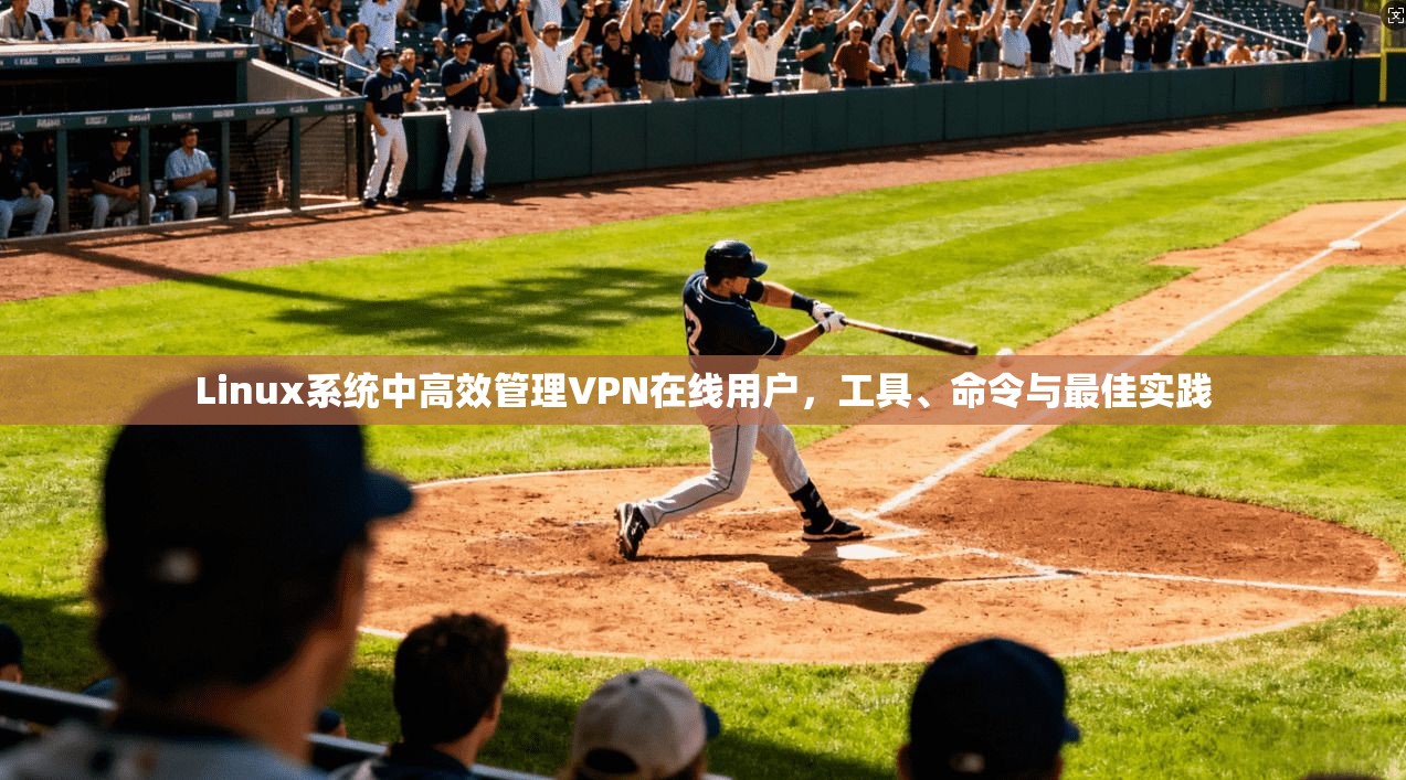 Linux系统中高效管理VPN在线用户,工具、命令与最佳实践 第1张 Linux系统中高效管理VPN在线用户,工具、命令与最佳实践 第1张