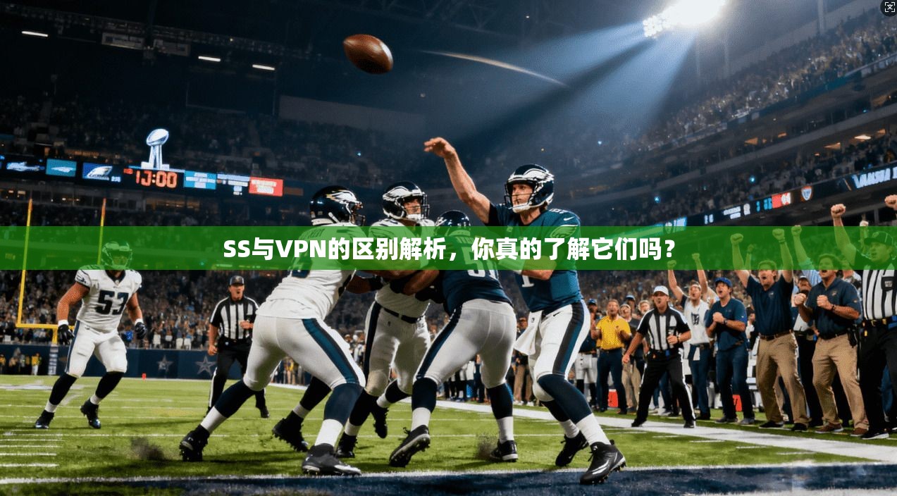 SS与VPN的区别解析,你真的了解它们吗? 第1张 SS与VPN的区别解析,你真的了解它们吗? 第1张