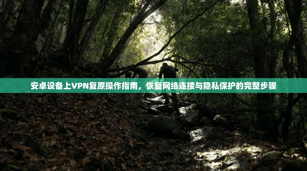 安卓设备上VPN复原操作指南,恢复网络连接与隐私保护的完整步骤 第1张 安卓设备上VPN复原操作指南,恢复网络连接与隐私保护的完整步骤 第1张