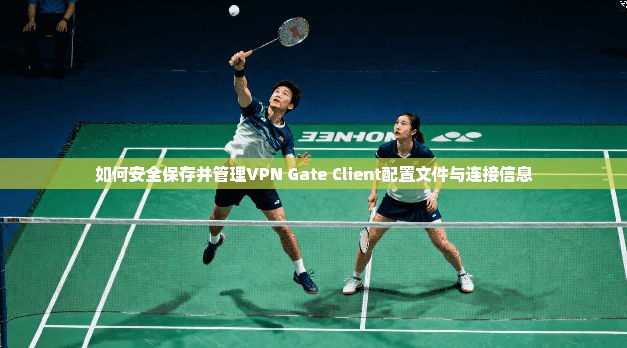 如何安全保存并管理VPN Gate Client配置文件与连接信息  第1张