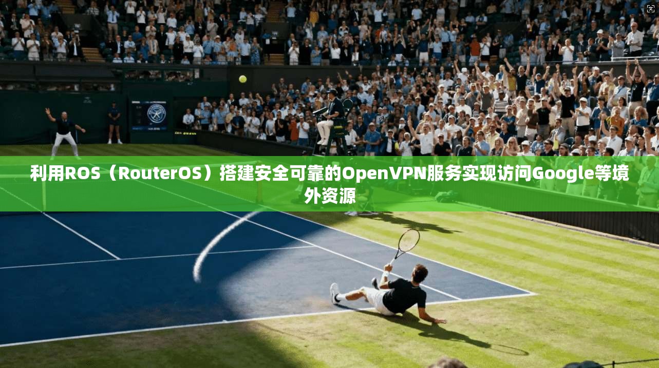 利用ROS（RouterOS）搭建安全可靠的OpenVPN服务实现访问Google等境外资源  第1张