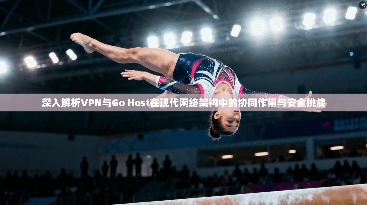 深入解析VPN与Go Host在现代网络架构中的协同作用与安全挑战  第1张