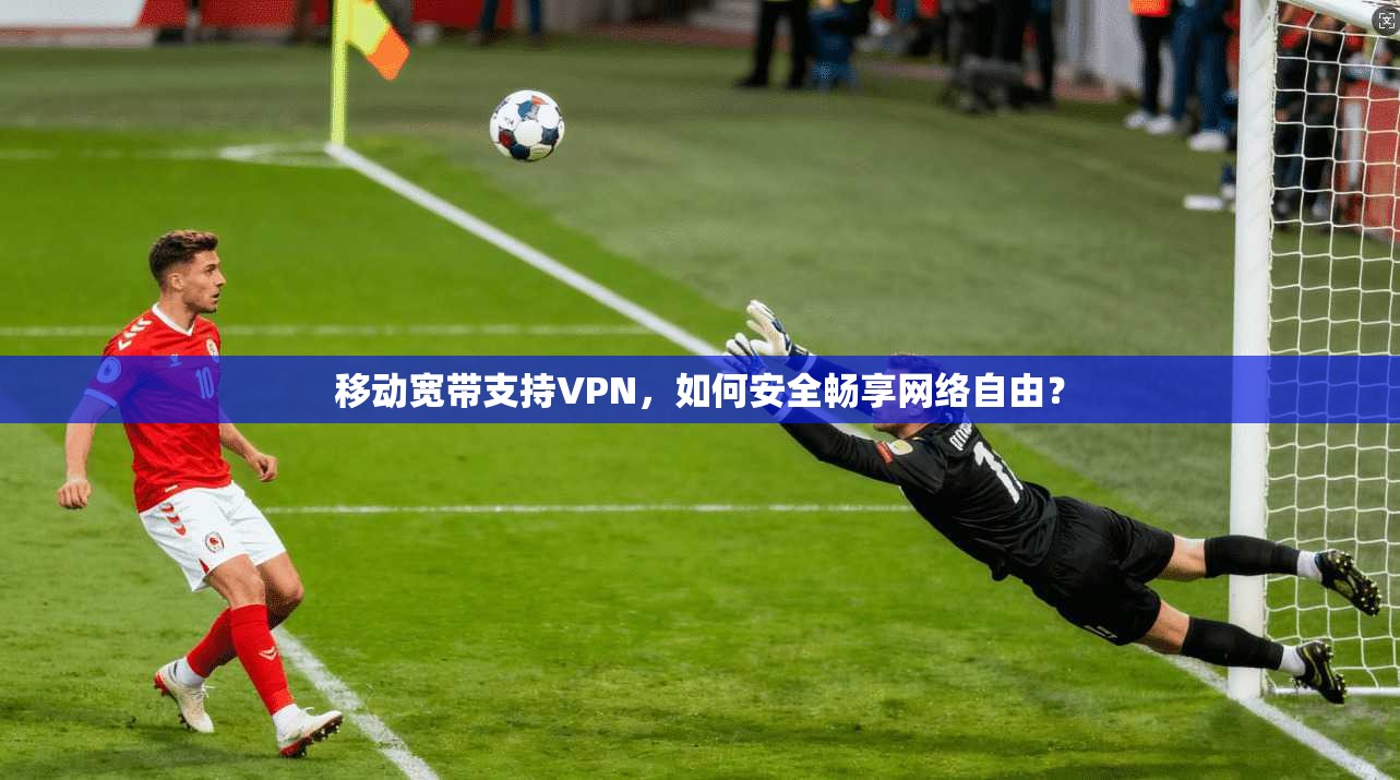 移动宽带支持VPN，如何安全畅享网络自由？  第1张