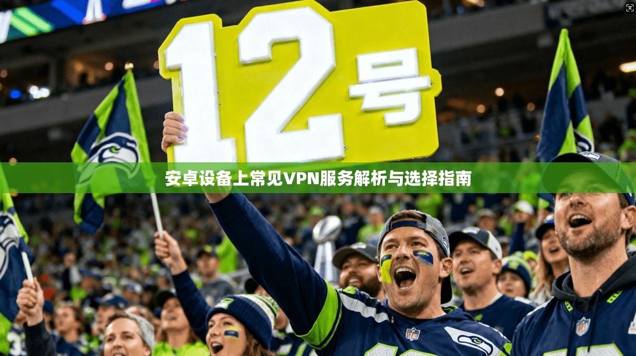 安卓设备上常见VPN服务解析与选择指南  第1张