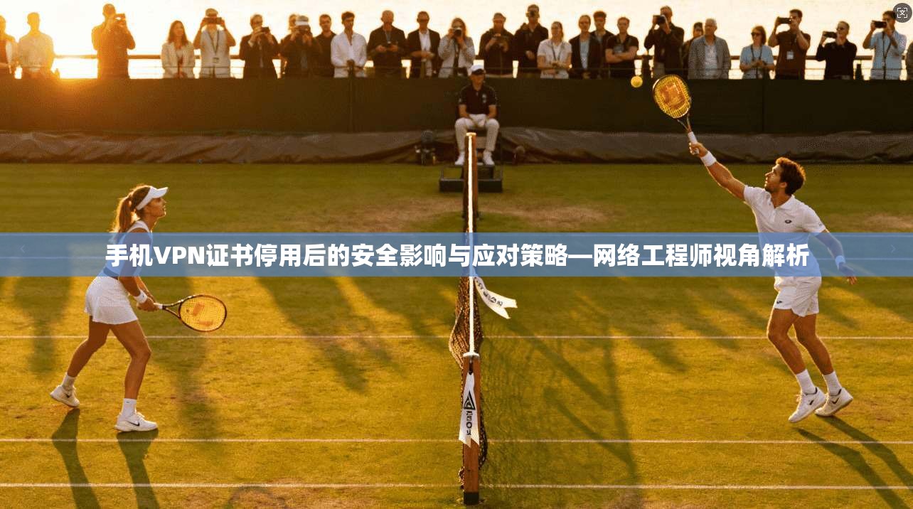手机VPN证书停用后的安全影响与应对策略—网络工程师视角解析  第1张
