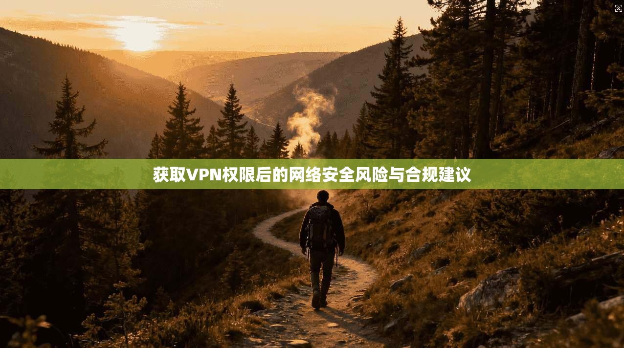 获取VPN权限后的网络安全风险与合规建议  第1张
