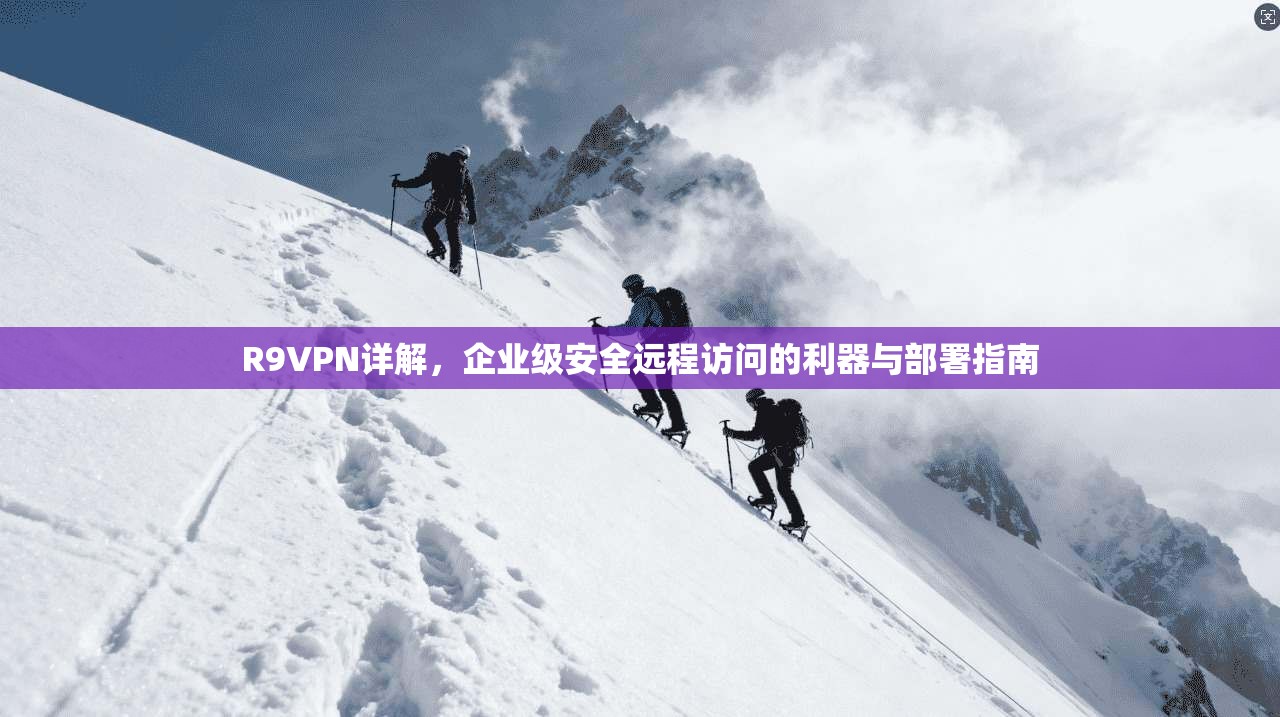 R9VPN详解,企业级安全远程访问的利器与部署指南 第1张 R9VPN详解,企业级安全远程访问的利器与部署指南 第1张