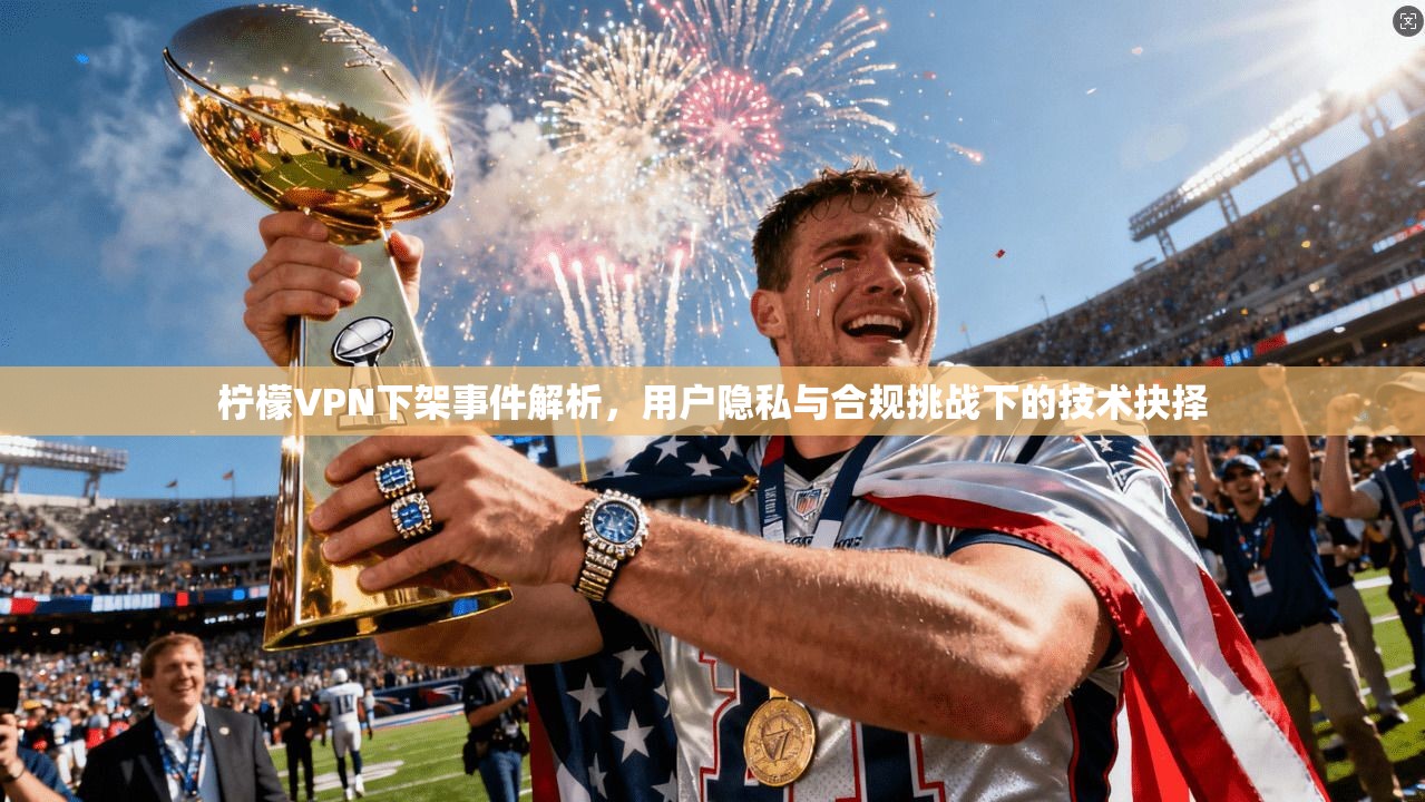 柠檬VPN下架事件解析，用户隐私与合规挑战下的技术抉择  第1张