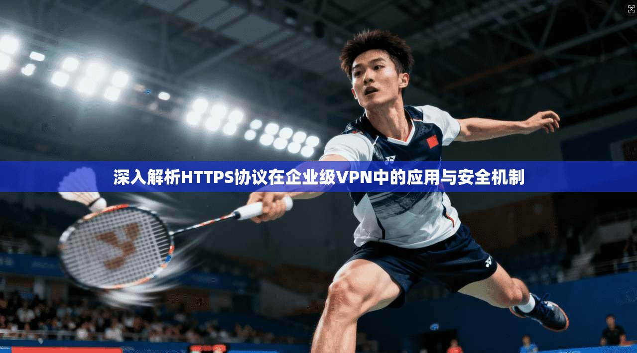 深入解析HTTPS协议在企业级VPN中的应用与安全机制  第1张