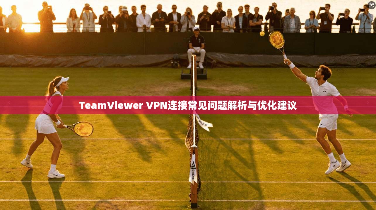 TeamViewer VPN连接常见问题解析与优化建议  第1张