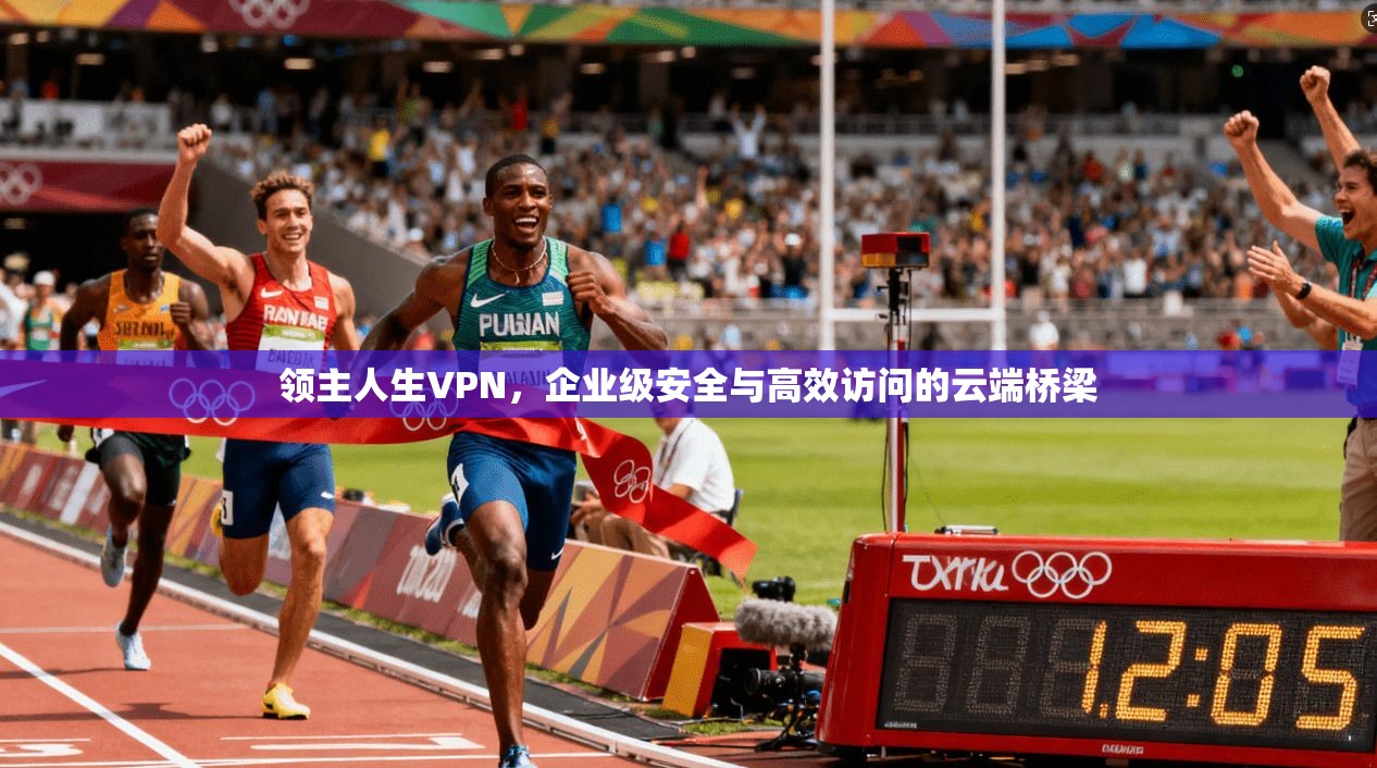 领主人生VPN，企业级安全与高效访问的云端桥梁  第1张