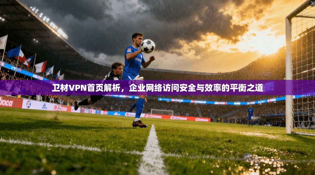 卫材VPN首页解析,企业网络访问安全与效率的平衡之道 第1张 卫材VPN首页解析,企业网络访问安全与效率的平衡之道 第1张