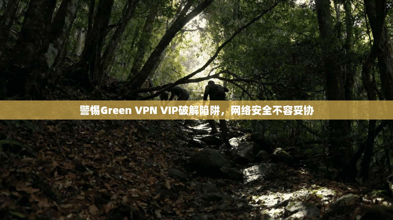 警惕Green VPN VIP破解陷阱，网络安全不容妥协  第1张