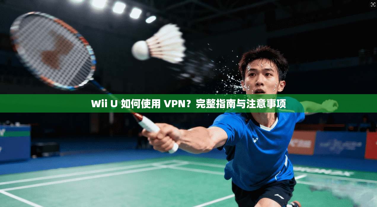 Wii U 如何使用 VPN?完整指南与注意事项 第1张 Wii U 如何使用 VPN?完整指南与注意事项 第1张