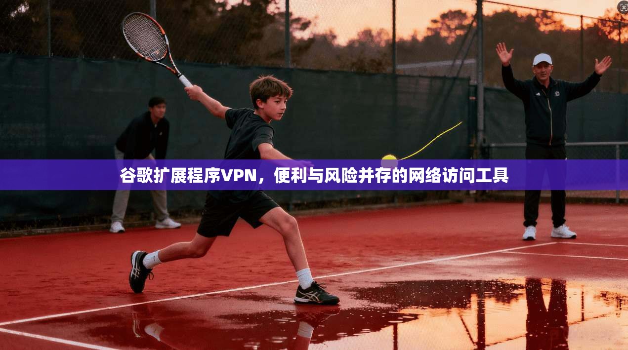 谷歌扩展程序VPN，便利与风险并存的网络访问工具  第1张
