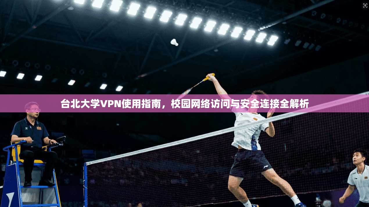 台北大学VPN使用指南，校园网络访问与安全连接全解析  第1张
