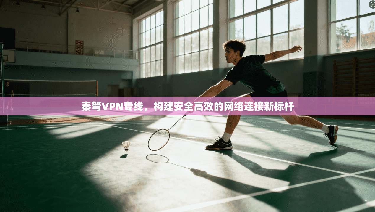 秦弩VPN专线，构建安全高效的网络连接新标杆  第1张