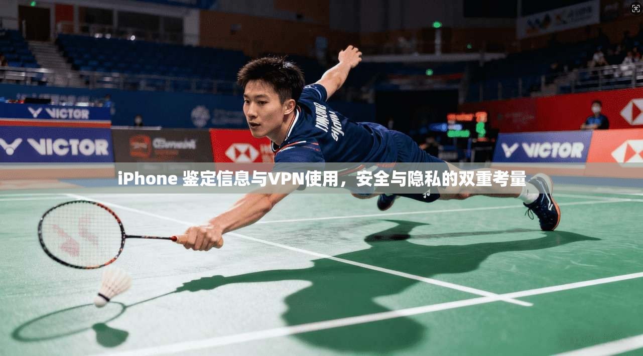 iPhone 鉴定信息与VPN使用，安全与隐私的双重考量  第1张