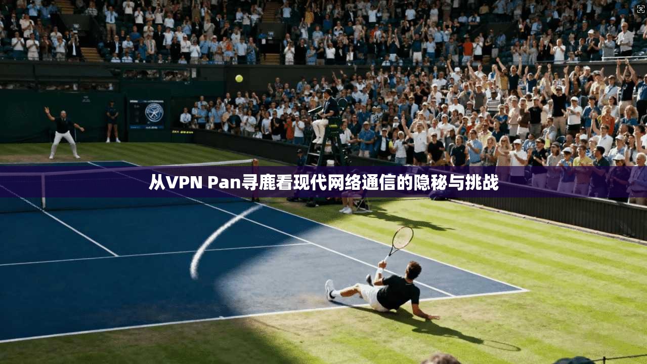 从VPN Pan寻鹿看现代网络通信的隐秘与挑战 第1张 从VPN Pan寻鹿看现代网络通信的隐秘与挑战 第1张