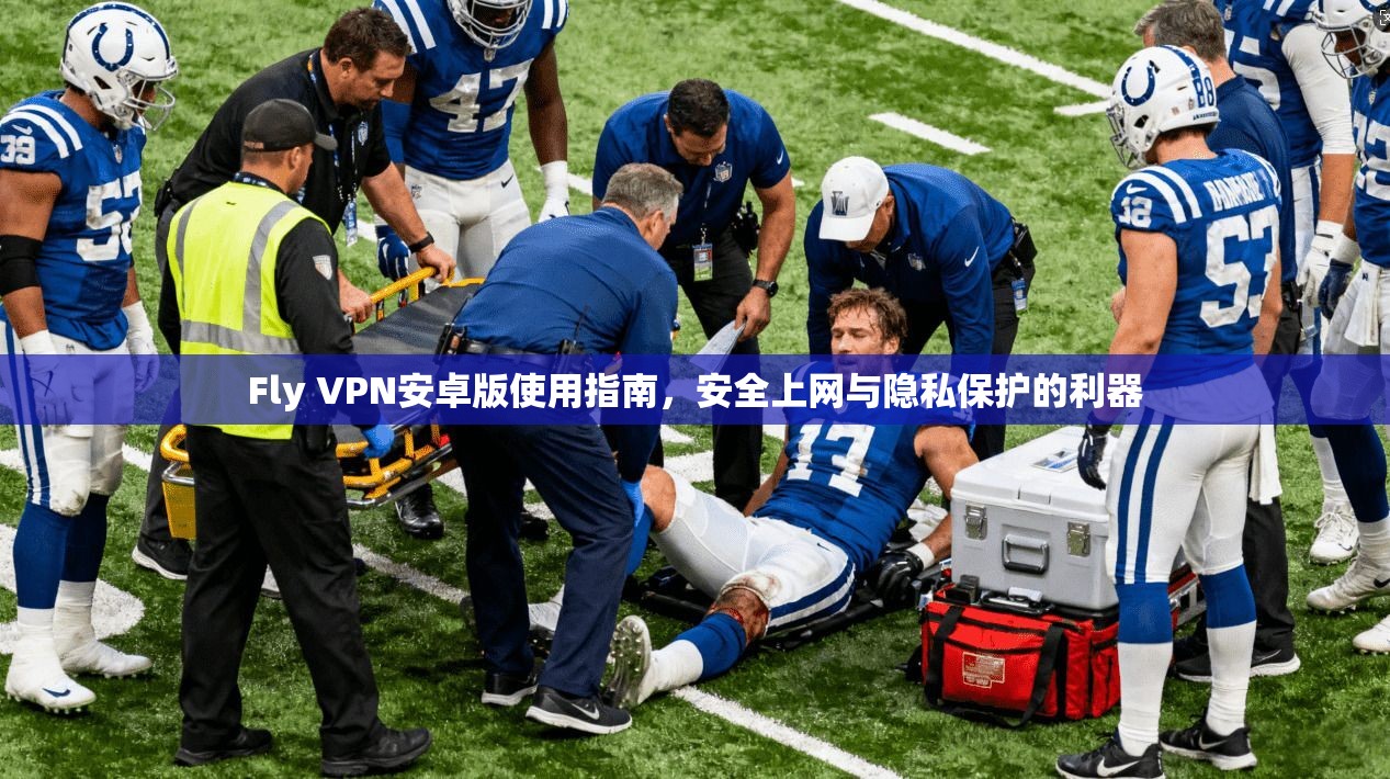 Fly VPN安卓版使用指南,安全上网与隐私保护的利器 第1张 Fly VPN安卓版使用指南,安全上网与隐私保护的利器 第1张